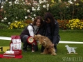jovariskes-2012-982