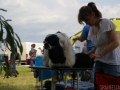 kaunas2010_06