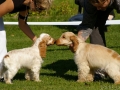jovariskes2010_22