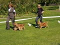 jovariskes2010_24