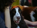 jovariskes2010_32