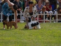 druskininkai-2011-21