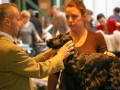 2013-litexpo-pavasaris-001